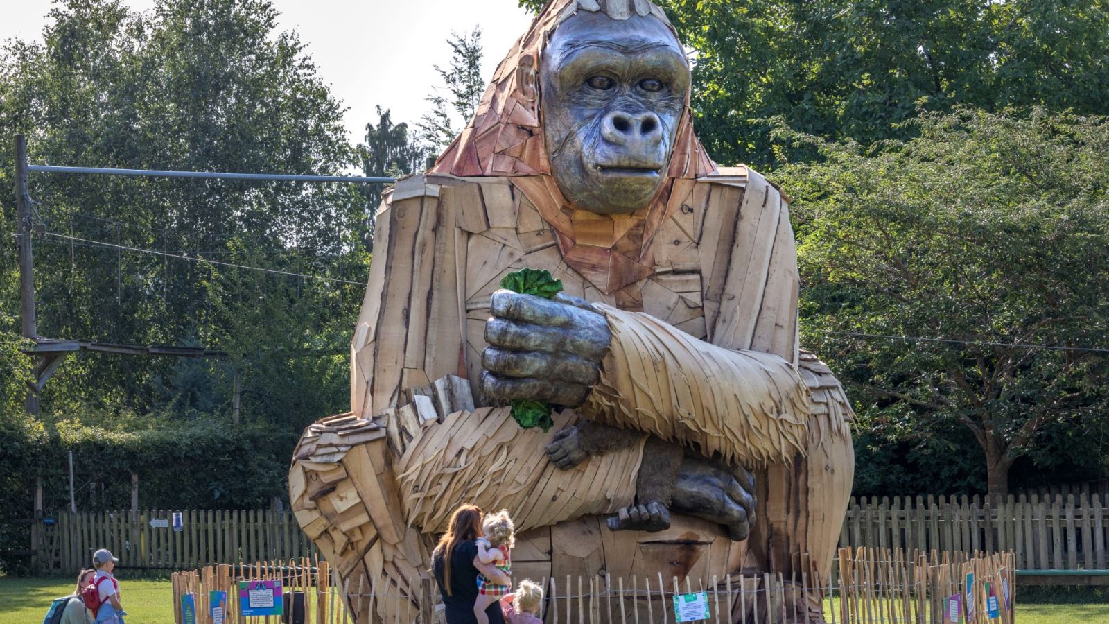 Wilder at Bristol Zoo Gardens